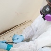 Mold Removal